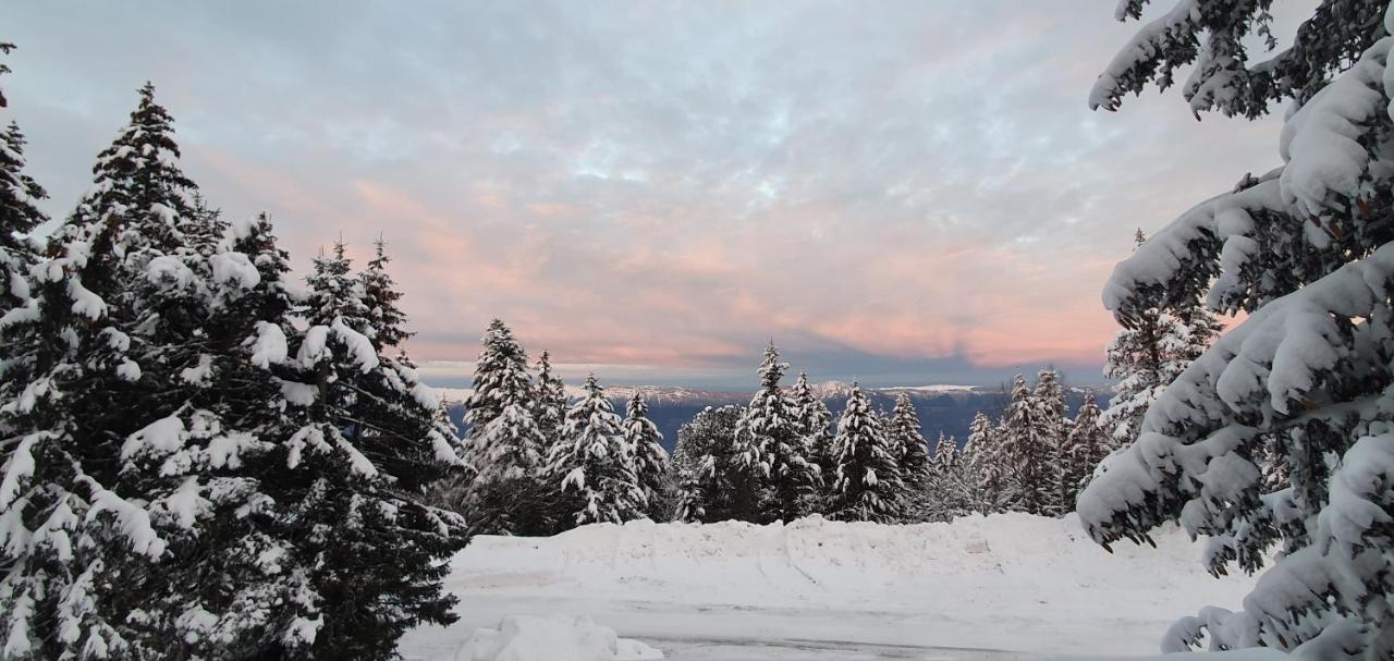 Grand Chalet Standing Avec Jacuzzi A Chamrousse Ski 1750 المظهر الخارجي الصورة
